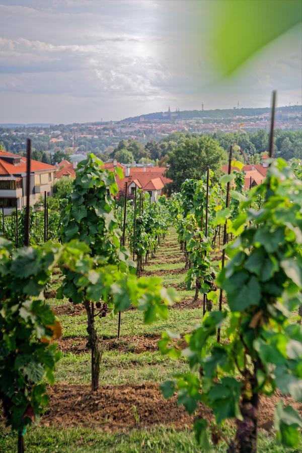 Apartmany Vinice Salabka Prague Exterior photo